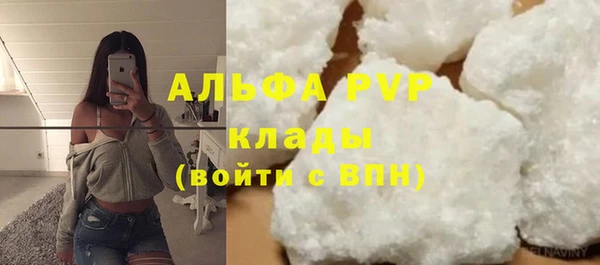 прущие грибы Абдулино