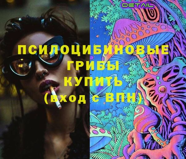 ПСИЛОЦИБИНОВЫЕ ГРИБЫ Нязепетровск