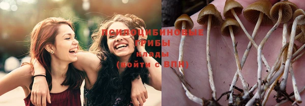 первитин Нягань