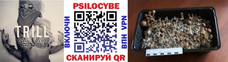 Псилоцибиновые грибы GOLDEN TEACHER  Нерчинск 