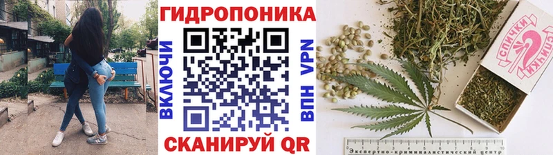 Бошки Шишки MAZAR  продажа наркотиков  KRAKEN ссылка  Нерчинск 